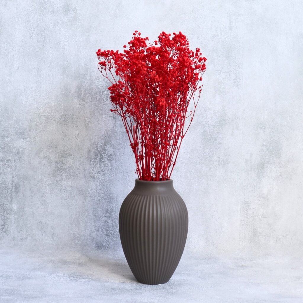 Stabilizovaná Gypsophila červená – elegantní květina do aranžmá